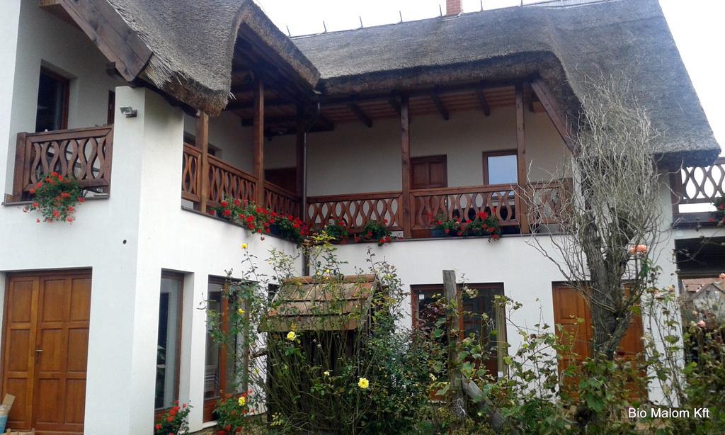 Julia Vendeghaz Apartment Tar Bagian luar foto